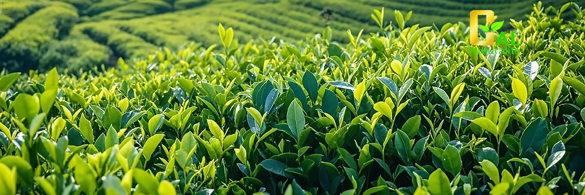 power supply excellent